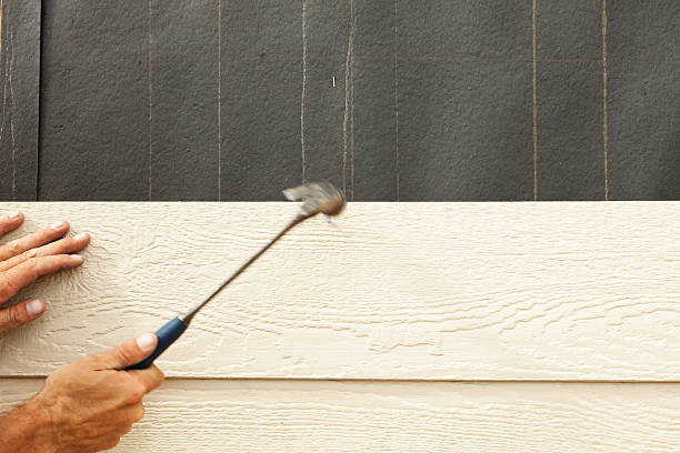 Best Brick Veneer Siding  in Lakeland, GA